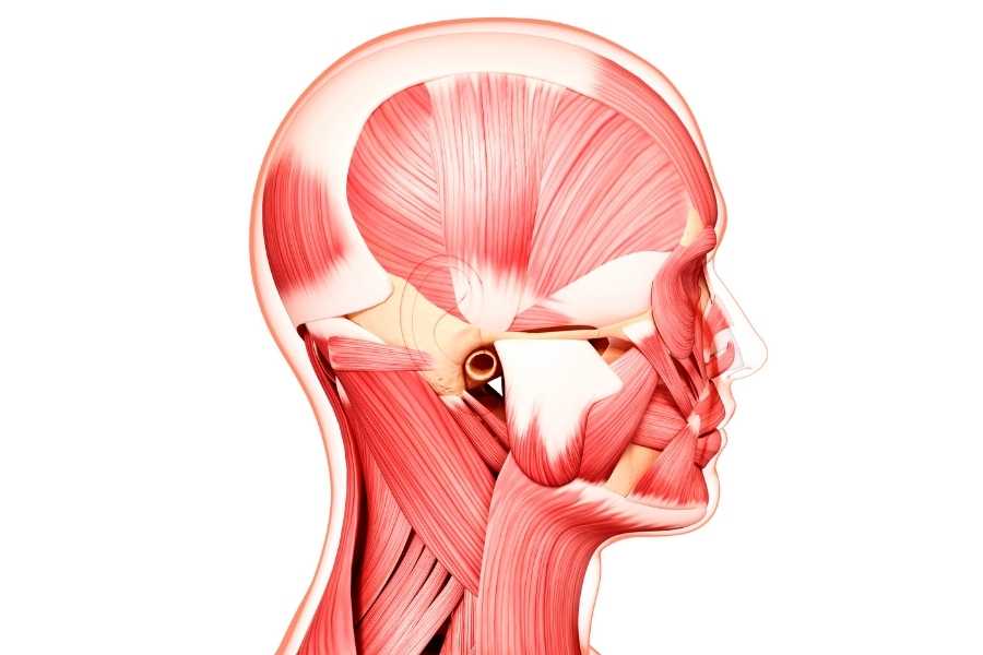 Masseter Botox'un Estetik ve Tıbbi Avantajları